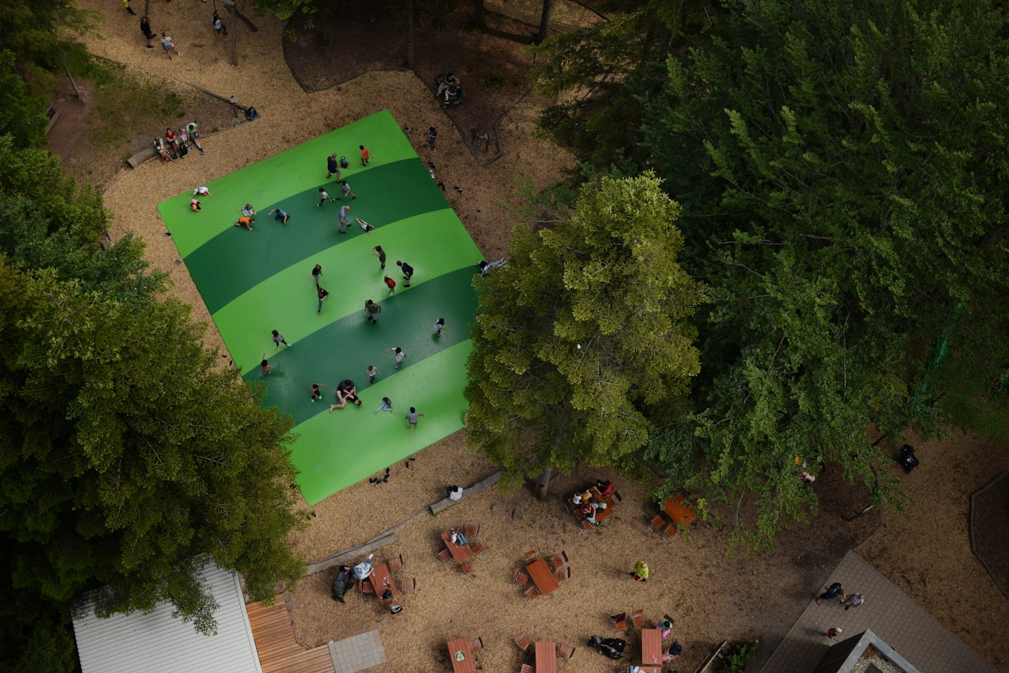 Children and adults play on a bouncy surface in a park.